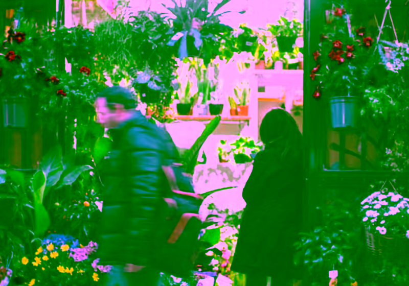 Clientes entrando a una floristería iluminada al anochecer en el centro comercial de Lo Pagán, San Pedro del Pinatar