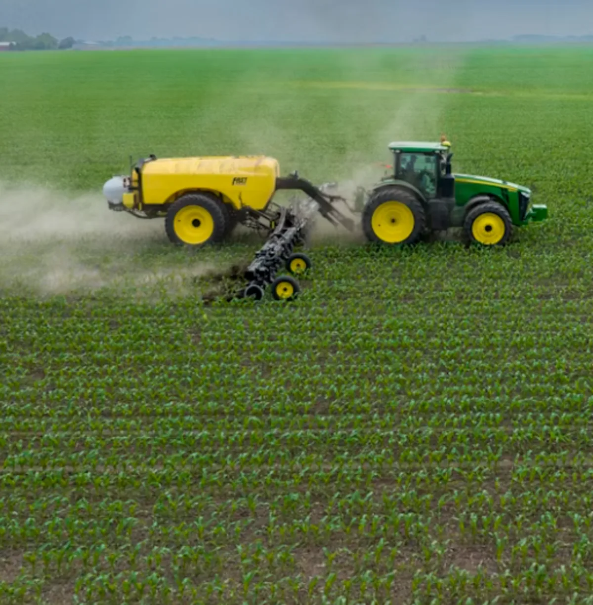 Producto agroalimentario de la huerta de Murcia listo para exportación, cliente típico B2B