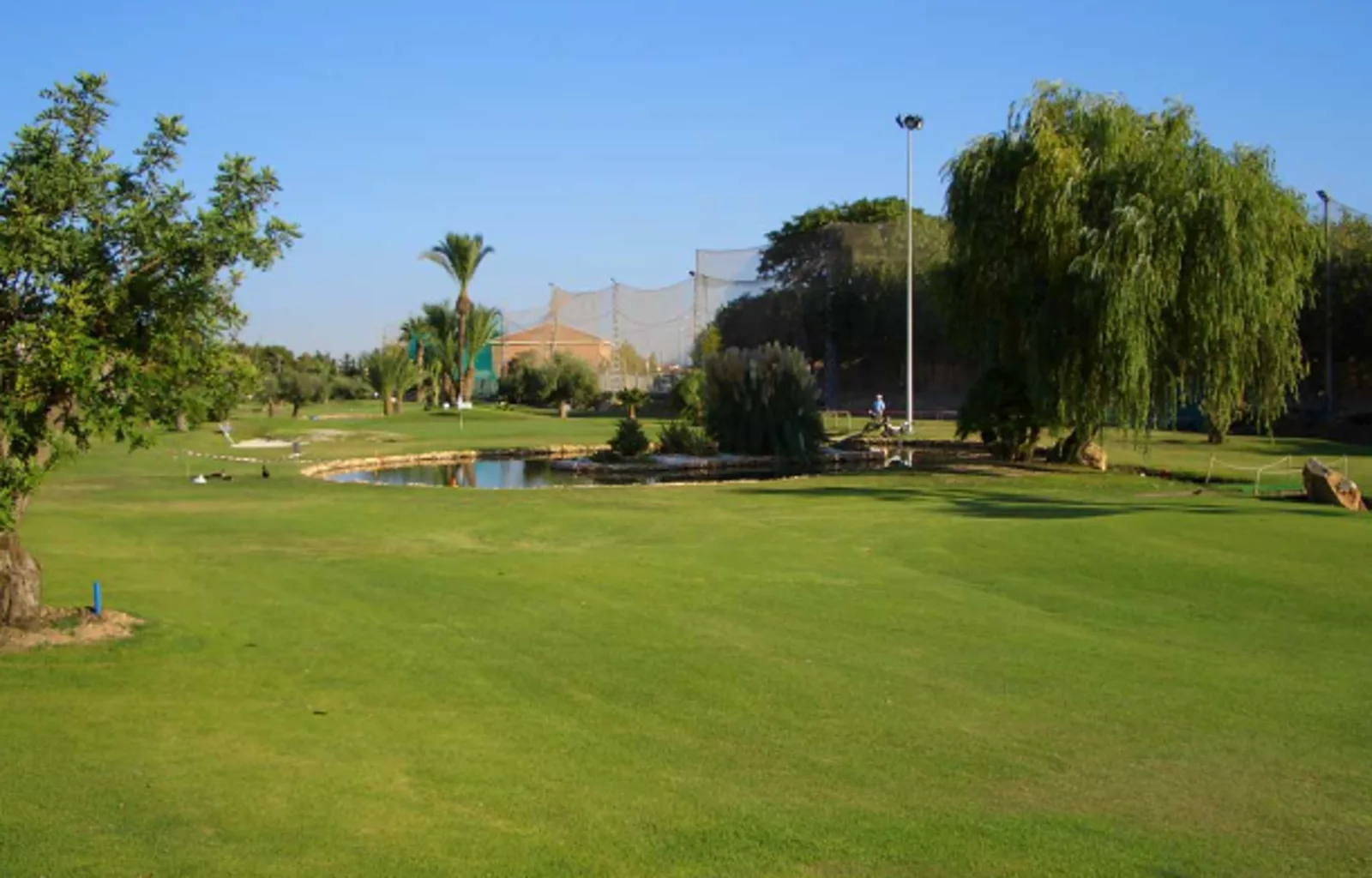 Campo de golf de Mar Menor Golf Resort con estanque y sauces en Torre-Pacheco